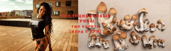 трава Бронницы