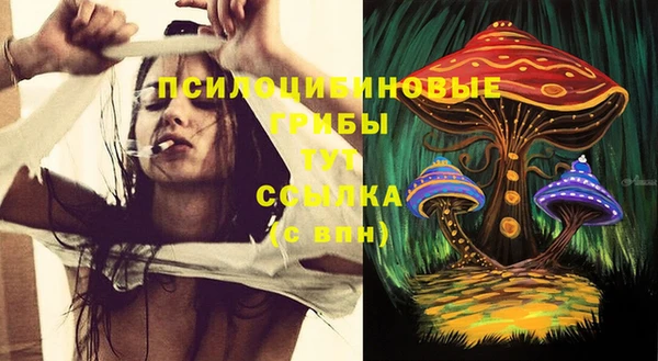 mix Осинники