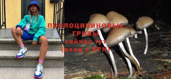 mdpv Верхний Тагил